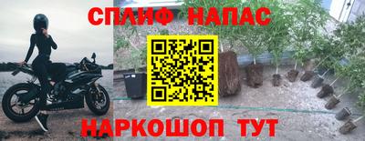 spice Чебоксары
