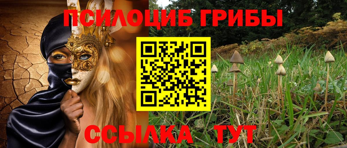 Псилоцибиновые грибы Psilocybe  Вход с VPN  Северобайкальск 